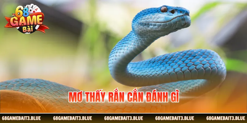 Mơ Thấy Rắn Cắn Đánh Gì? Cơ Hội Tạo Lợi Nhuận Siêu Khủng